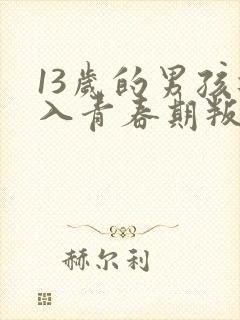 13岁的男孩进入青春期叛逆怎样管