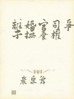 离婚官司争夺孩子抚养权