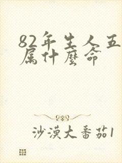 82年生人五行属什么命