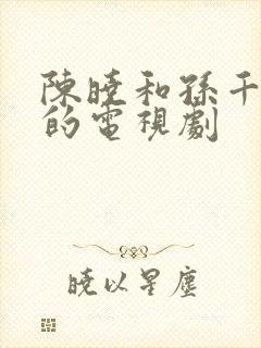 陈晓和孙千主演的电视剧