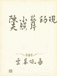 陈小艺的现任丈夫照片封面