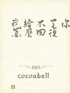 我给不了你什么怎么回复