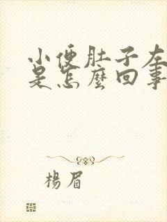 小便肚子左边疼是怎么回事