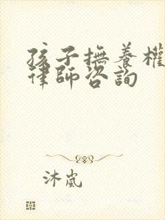 孩子抚养权起诉律师咨询封面