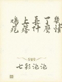 鸡上长了几个小疙瘩什么情况封面