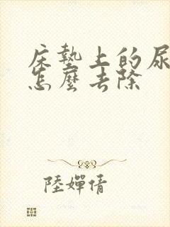 床垫上的尿骚味怎么去除