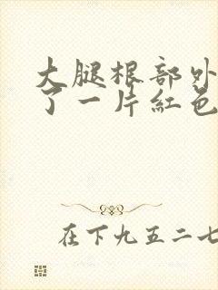 大腿根部外侧长了一片红色凸起的疙瘩