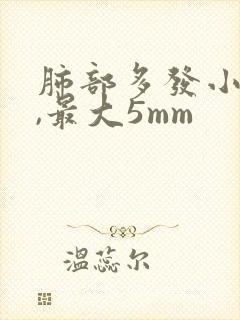 肺部多发小结节,最大5mm