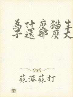 为什么猫生完肚子还那么大封面