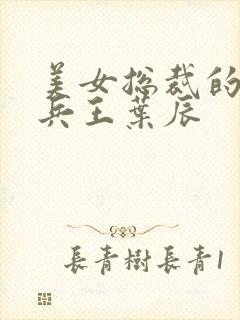 美女总裁的超级兵王叶辰