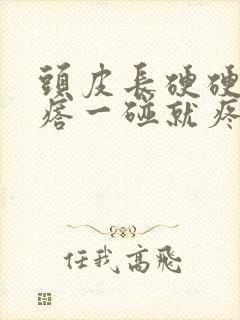 头皮长硬硬的疙瘩一碰就疼