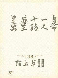 农历十一月初七出生的人命运