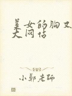 美女的胸又黄又大网站