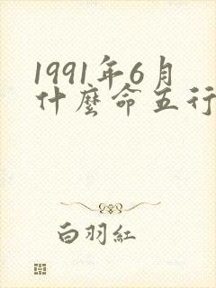 1991年6月什么命五行属性封面