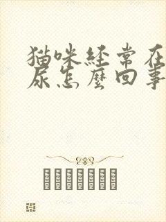 猫咪经常在床上尿怎么回事