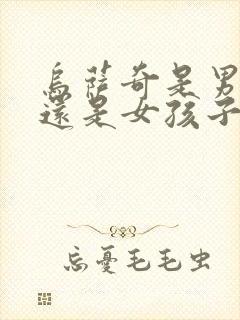 乌萨奇是男孩子还是女孩子