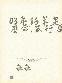 03年的羊是什么命,五行属性封面