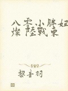 八零小胖妞 苏灿 陆战东