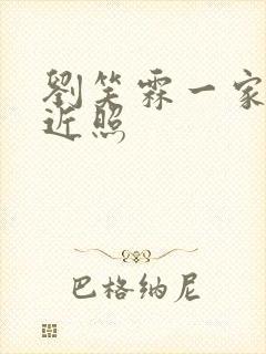 刘笑霖一家三口近照封面