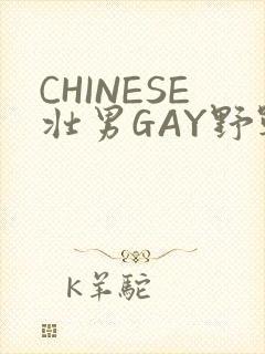 CHINESE壮男GAY野战强迫TUBE