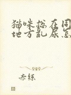 猫咪总在同一个地方乱尿怎么办