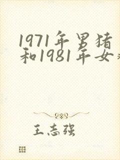 1971年男猪和1981年女鸡婚配