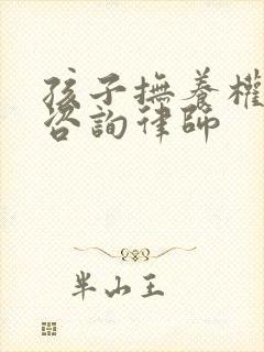 孩子抚养权问题咨询律师