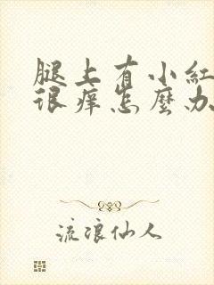 腿上有小红疙瘩很痒怎么办