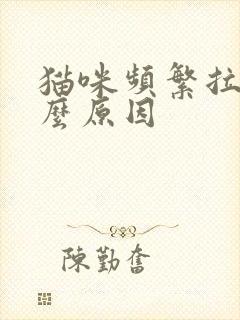 猫咪频繁拉尿什么原因