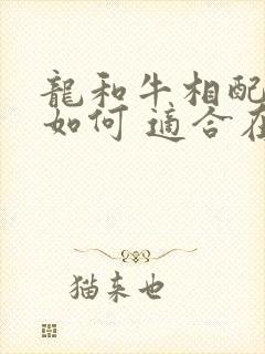 龙和牛相配婚姻如何 适合在一起吗