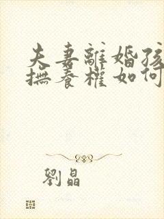 夫妻离婚孩子的抚养权如何判决封面