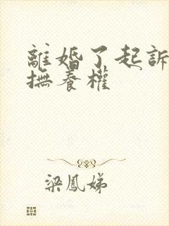 离婚了起诉孩子抚养权