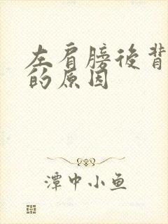 左肩膀后背酸痛的原因