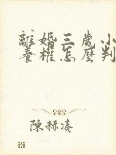 离婚三岁小孩抚养权怎么判定