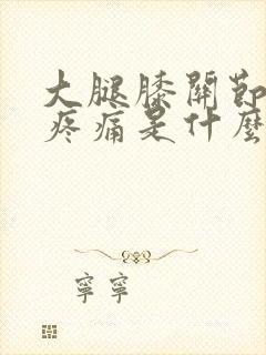 大腿膝关节内侧疼痛是什么原因引起的