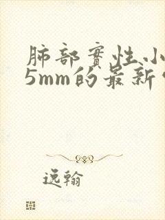 肺部实性小结节5mm的最新处理方法