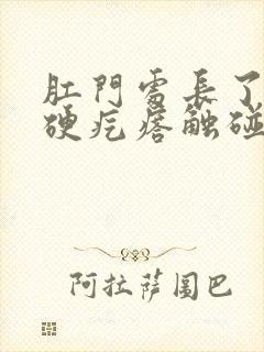 肛门处长了一个硬疙瘩触碰有点疼封面