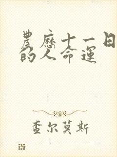 农历十一日出生的人命运