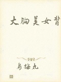 大胸美女背后入封面