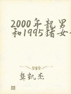 2000年龙男和1995猪女合适吗