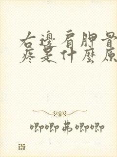 右边肩胛骨里面疼是什么原因