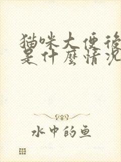 猫咪大便后有血是什么情况封面