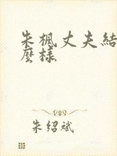 朱枫丈夫结局怎么样