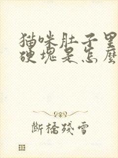 猫咪肚子里面有硬块是怎么回事