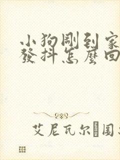 小狗刚到家一直发抖怎么回事