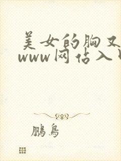 美女的胸又黄又www网站入口