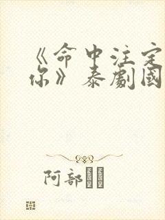 《命中注定我爱你》泰剧国语版