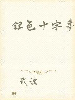 银色十字梦封面