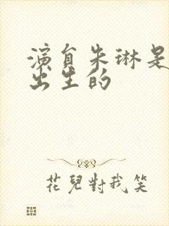 演员朱琳是哪年出生的