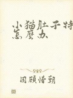 小猫肚子特别大怎么办